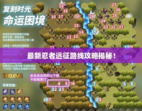 最新忍者遠(yuǎn)征路線攻略揭秘！