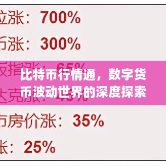 比特幣行情通，數(shù)字貨幣波動世界的深度探索