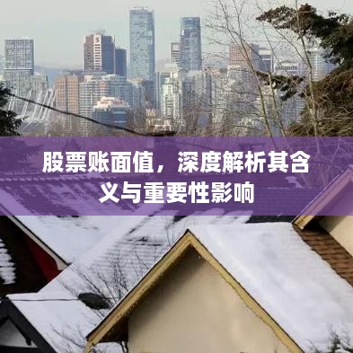 股票賬面值，深度解析其含義與重要性影響