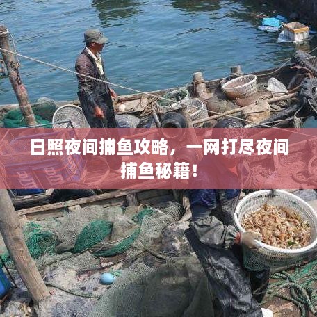 日照夜間捕魚攻略，一網(wǎng)打盡夜間捕魚秘籍！