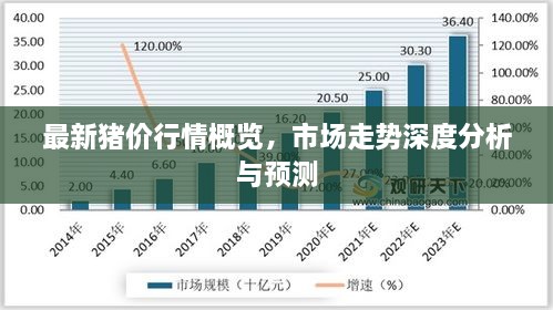 最新豬價(jià)行情概覽，市場(chǎng)走勢(shì)深度分析與預(yù)測(cè)