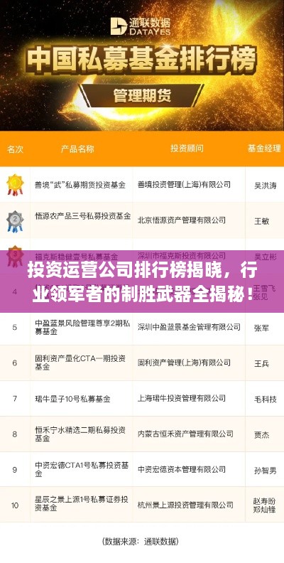 投資運(yùn)營公司排行榜揭曉，行業(yè)領(lǐng)軍者的制勝武器全揭秘！