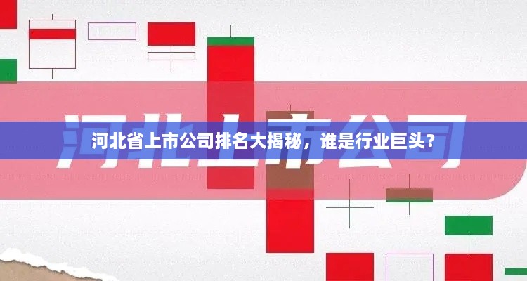 河北省上市公司排名大揭秘，誰是行業(yè)巨頭？