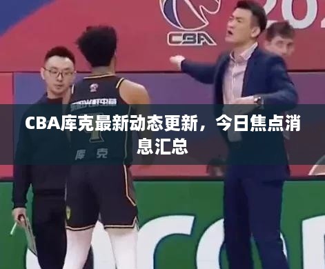 CBA庫克最新動態(tài)更新，今日焦點消息匯總