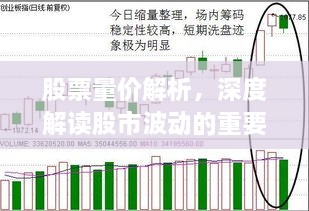 股票量價(jià)解析，深度解讀股市波動的重要指標(biāo)！