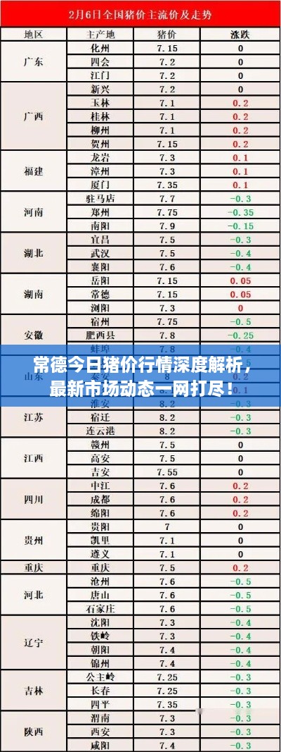 常德今日豬價(jià)行情深度解析，最新市場(chǎng)動(dòng)態(tài)一網(wǎng)打盡！
