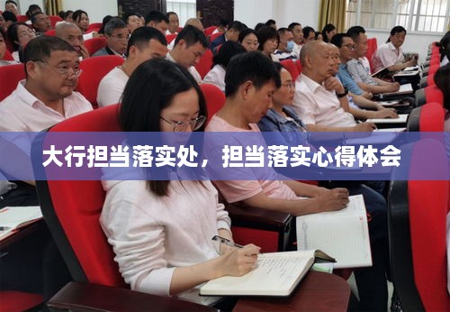 大行擔(dān)當(dāng)落實處，擔(dān)當(dāng)落實心得體會 