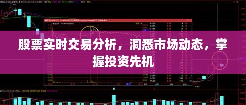 股票實(shí)時(shí)交易分析，洞悉市場動態(tài)，掌握投資先機(jī)