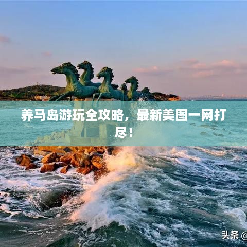 產(chǎn)品展示 第94頁