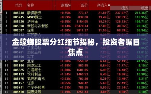 金螳螂股票分紅細(xì)節(jié)揭秘，投資者矚目焦點(diǎn)