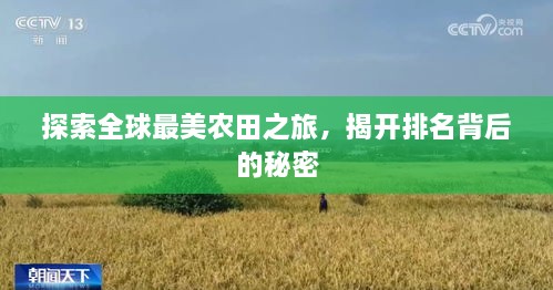 探索全球最美農(nóng)田之旅，揭開(kāi)排名背后的秘密