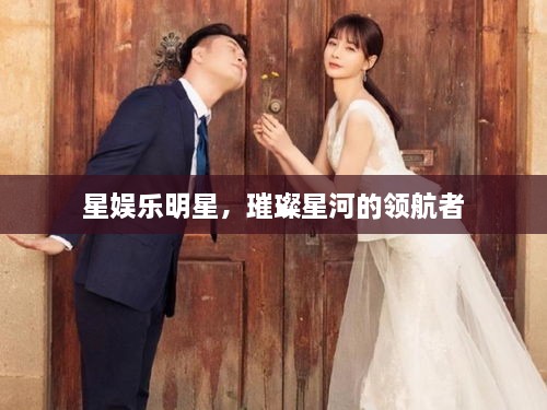 星娛樂(lè)明星，璀璨星河的領(lǐng)航者