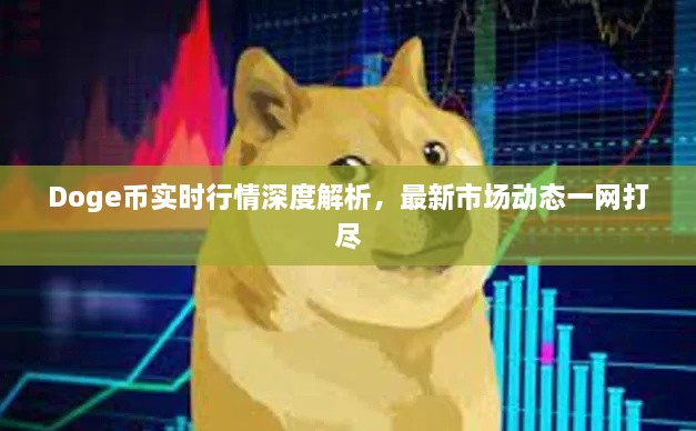 Doge幣實時行情深度解析，最新市場動態(tài)一網(wǎng)打盡