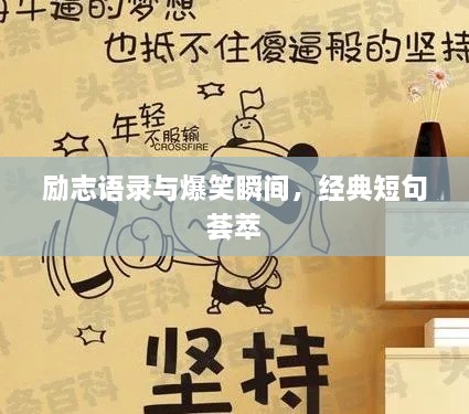 勵志語錄與爆笑瞬間，經(jīng)典短句薈萃