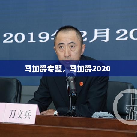 馬加爵專題，馬加爵2020 