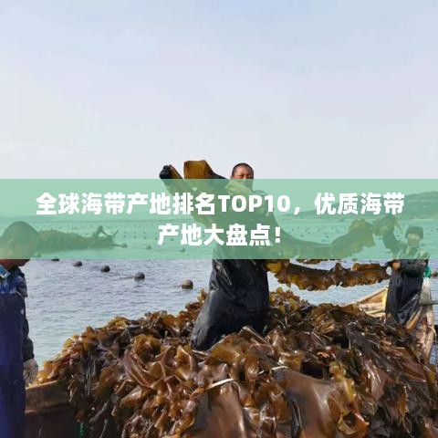 全球海帶產地排名TOP10，優(yōu)質海帶產地大盤點！