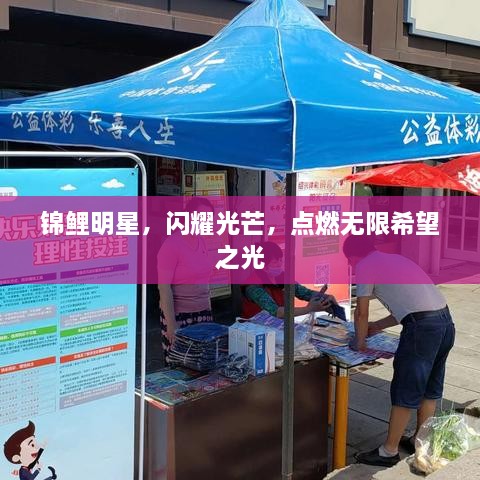 錦鯉明星，閃耀光芒，點(diǎn)燃無限希望之光