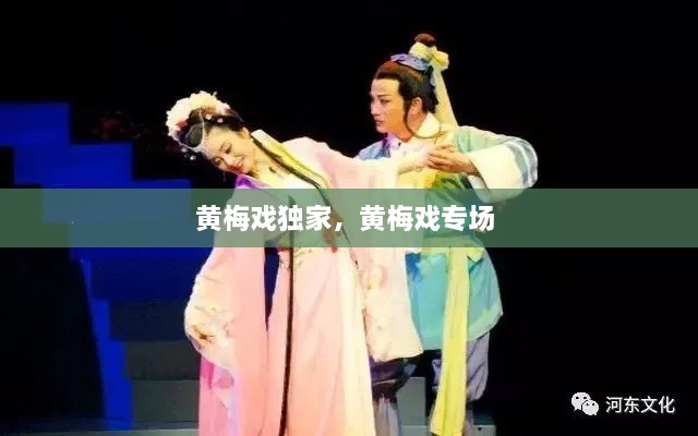 黃梅戲獨家，黃梅戲?qū)?
