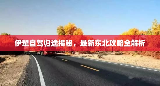 伊犁自駕歸途揭秘，最新東北攻略全解析
