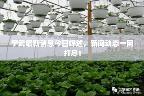 寧武最新消息今日綜述，新聞動態(tài)一網(wǎng)打盡！