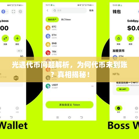 光遇代幣問(wèn)題解析，為何代幣未到賬？真相揭秘！