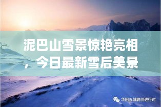 泥巴山雪景驚艷亮相，今日最新雪后美景報道！