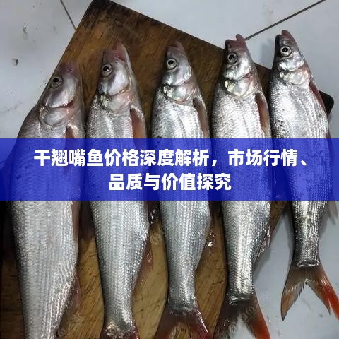 干翹嘴魚價格深度解析，市場行情、品質(zhì)與價值探究