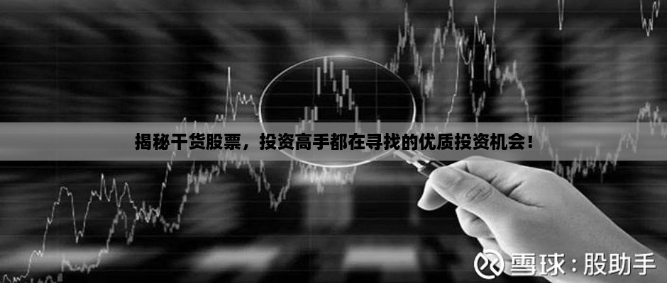 揭秘干貨股票，投資高手都在尋找的優(yōu)質(zhì)投資機(jī)會(huì)！