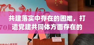 共建落實(shí)中存在的困難，打造黨建共同體方面存在的問(wèn)題 