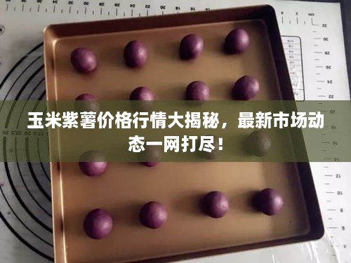玉米紫薯價格行情大揭秘，最新市場動態(tài)一網(wǎng)打盡！