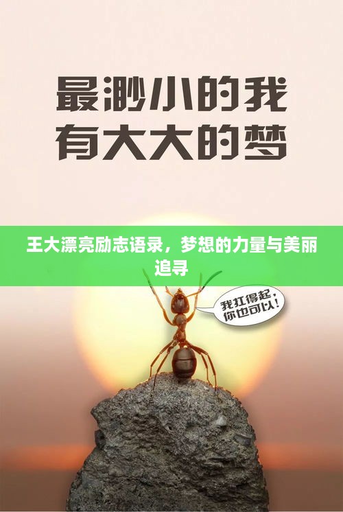 王大漂亮勵(lì)志語(yǔ)錄，夢(mèng)想的力量與美麗追尋