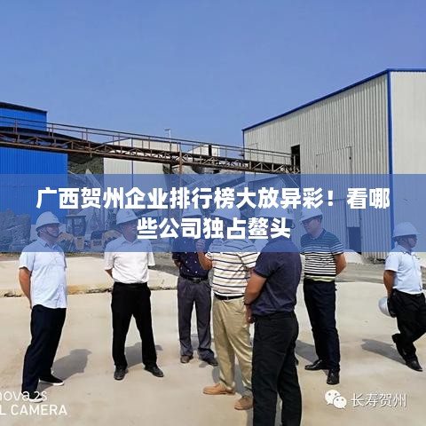 廣西賀州企業(yè)排行榜大放異彩！看哪些公司獨(dú)占鰲頭