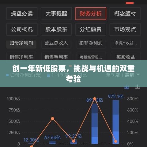 創(chuàng)一年新低股票，挑戰(zhàn)與機遇的雙重考驗