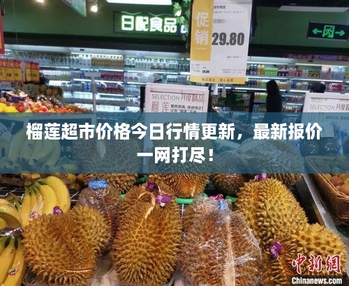 榴蓮超市價(jià)格今日行情更新，最新報(bào)價(jià)一網(wǎng)打盡！