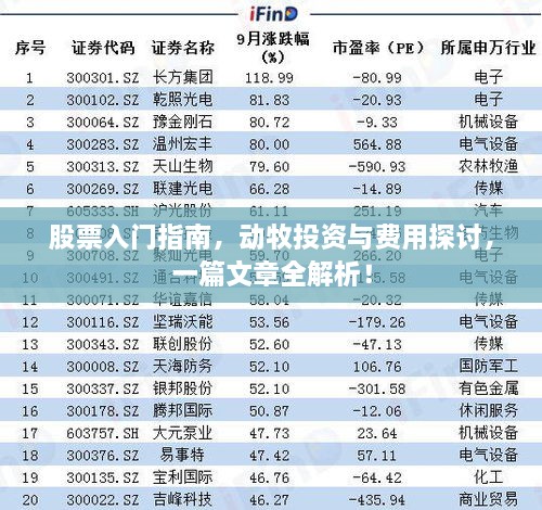股票入門指南，動牧投資與費(fèi)用探討，一篇文章全解析！