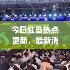 今日紅島熱點(diǎn)更新，最新消息一覽
