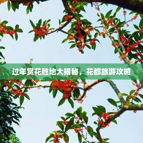 過年賞花勝地大揭秘，花都旅游攻略