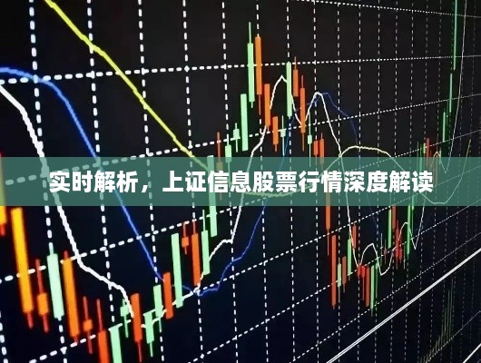 實(shí)時(shí)解析，上證信息股票行情深度解讀