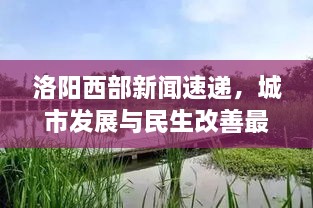 洛陽西部新聞速遞，城市發(fā)展與民生改善最新動態(tài)報道