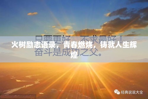 火樹(shù)勵(lì)志語(yǔ)錄，青春燃燒，鑄就人生輝煌