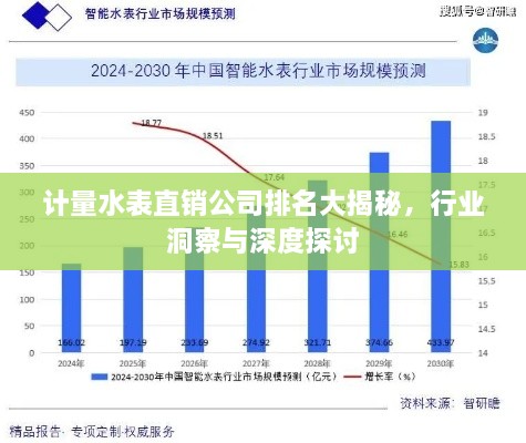 計(jì)量水表直銷公司排名大揭秘，行業(yè)洞察與深度探討