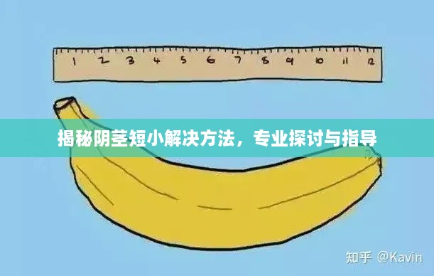 揭秘陰莖短小解決方法，專(zhuān)業(yè)探討與指導(dǎo)