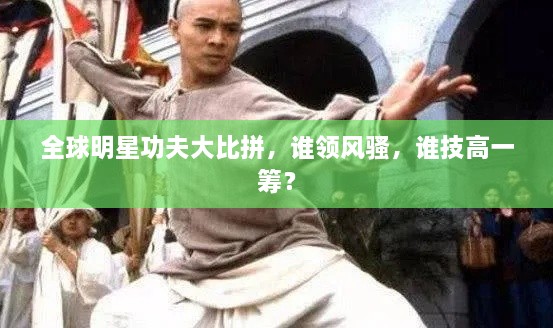 全球明星功夫大比拼，誰(shuí)領(lǐng)風(fēng)騷，誰(shuí)技高一籌？