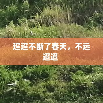 迢迢不斷了春天，不遠(yuǎn)迢迢 