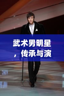 武術(shù)男明星，傳承與演繹的魅力展現(xiàn)