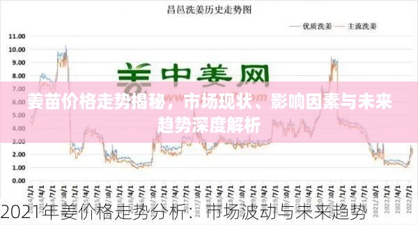 姜苗價格走勢揭秘，市場現(xiàn)狀、影響因素與未來趨勢深度解析