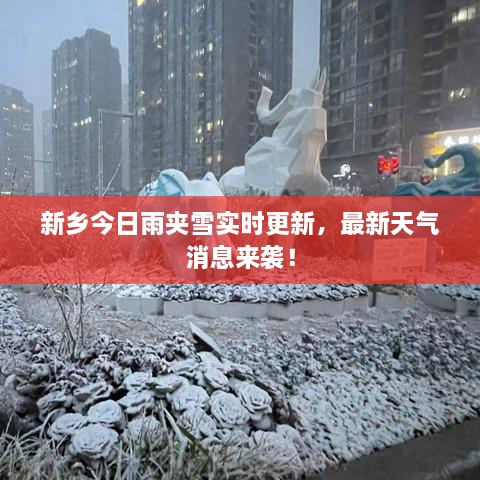 新鄉(xiāng)今日雨夾雪實(shí)時(shí)更新，最新天氣消息來(lái)襲！