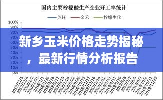 新鄉(xiāng)玉米價(jià)格走勢(shì)揭秘，最新行情分析報(bào)告