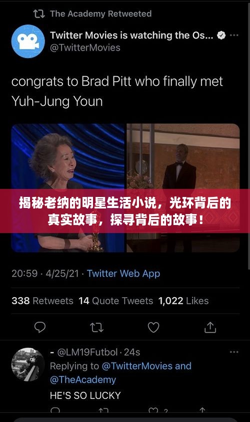 揭秘老納的明星生活小說，光環(huán)背后的真實故事，探尋背后的故事！