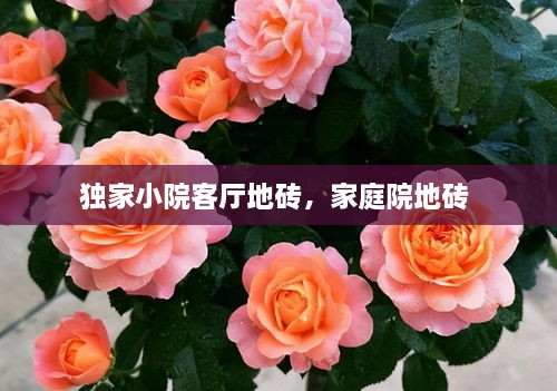 獨(dú)家小院客廳地磚，家庭院地磚 